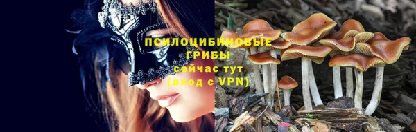 МДПВ Белоозёрский