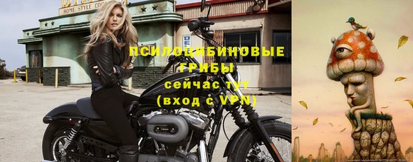 гидра Беломорск