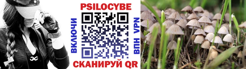 Псилоцибиновые грибы Magic Shrooms  наркошоп  Нестеровская 