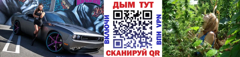закладки  Нестеровская  Конопля индика 